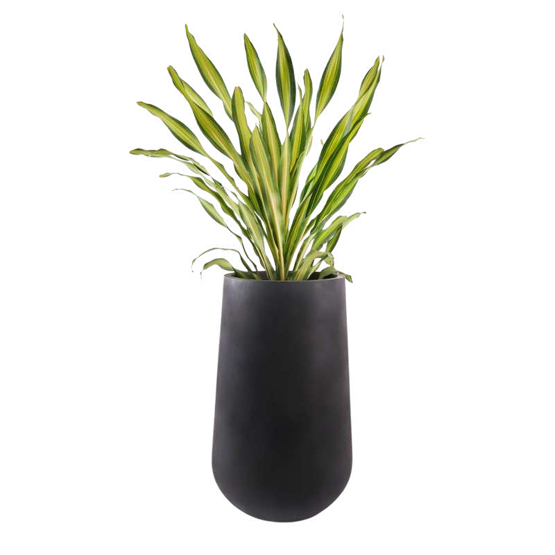 BALIAN planter OBLONG